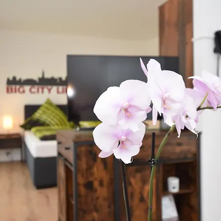 Boardinghouse Henschelstrasse Apart Otel